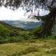 Am Bothan, Lochearnhead (photo 9)
