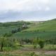 Cascina Pelizza, Casale Monferrato (photo 7)