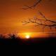 Romantic Shepherds hut with stunning sunsets, Hollingbourne (fotografie 5)