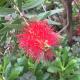 Val 2, Petrčane (photo 9)