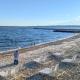 Falmouth Tides, Falmouth (fotografie 6)