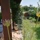 B&B Il Tiglio, Padula (fotografie 5)