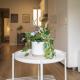 31ENT1027 - Mediterranean decorated apartment Barcelona - Fotografie 7