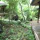 Ryokan Kono-Yu, Minamioguni (foto 2)