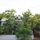 Priyadarshi Villa Free pickup in ac car from Jasidih Railway station or Deoghar Airport, デーオーガル - 写真 1