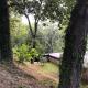 Sobreiro Valley - Casa Firmino, Vieira do Minho (photo 9)