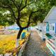 Manu B&B, Murighiol - Photo 7