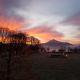 Beim Lanner - Franz Mondsee - Foto 8
