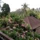 Manada Guesthouae Ubud - Photo 5