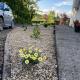 Blueberry Tiny Home, Kilmurry McMahon (zdjęcie 9)
