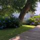 Idyllic Lakehouse - dog is welcome fenced garden, Haren (photo 4)