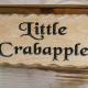 Little Crabapple, Swanage - Fotografie 3