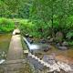 Giri Darshini Homestay - Simple Rooms with Pool & Private Falls, Chikmagalūr - Fotografie 3