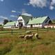 Resort Hvozd, Krompach (foto 3)