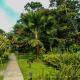 Catarata Eco Lodge, Fortuna - Foto 4