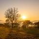 Rorkes Drift Lodge, Rorkeʼs Drift (fotografie 10)