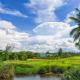 Gió Chiều Homestay - Riverside & Swimming pool, Hội An - Photo 4