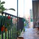 Cozy apartment in Batumi, Batumi (fotografie 2)