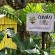 Cabañas Ixaya, Catemaco (Foto 6)