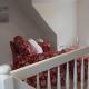 Ferienhaus Deichblick, テニング - 写真 1