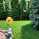 Pensiunea Haiduc Sacele Brasov, サチェレ - 写真 3