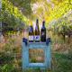 Crowsnest Vineyards Guesthouse, Keremeos - Fotografie 4