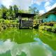Jolits EcoGarden Hostel, Batuan (fotografie 10)