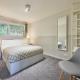 Host & Stay - Robin's Nest Gunnislake - Foto 8