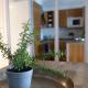 2ndhomes Luxury 1BR Kamppi Center Apartment with Sauna and Big Terrace, Helsinki (photo 9)