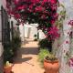 Garden Apartment, La Noria, Málaga - Foto 3