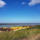 Residenz Knechtsand 2, Cuxhaven - Foto 8