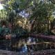 Northwich Game Ranch, Louis Trichardt (foto 2)