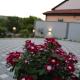 Villa Denis, Mostar (fotografie 2)