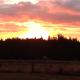 Self Contained Cottage Pukekohe, Auckland - Fotografie 2