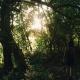 Casa Melina Torio Cozy upscale 2bd jungle House, Torio - Fotografie 6