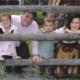 Bauernhof Wildfang, Dalaas (foto 4)