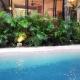 Agua & Selva luxury Jungle loft Tulum - Foto 1