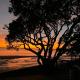 Island View Hideaway, Auckland - Fotografie 1