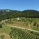 Kljajevica Orchard, Pljevlja