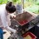 Glamping Spa & Coffee Tour, Medellín - Foto 3