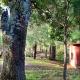 Cabaña La Vía Láctea, El Pacífico (fotografie 7)