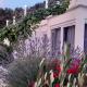 Vis - luxury holiday villa with swimming pool, Vis (Foto 2)