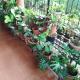 Hidden gem home stay -2, Madikeri - Photo 9