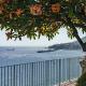 Lazareto Mar by An Island Apart, Funchal
