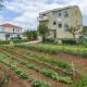 Apartments by the sea Posedarje, Novigrad - 6190