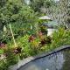 Balian Bliss Retreat complex with private pool, Balian (fotografie 8)