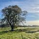Airstream at Hardham West Sussex Sleeps 4, Pulborough (fotografie 3)