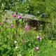 Forest Garden Shovelstrode, East Grinstead (foto 4)