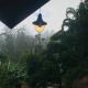 Mirador Cottage, Bandarawela (fotografie 2)
