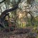 Hope Haven Cottage, Nelspruit (foto 10)